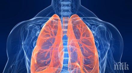 статистика един осем души европа умира белодробно заболяване