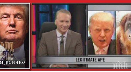 доналд тръмп заченат секс орангутан