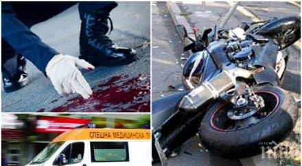 извънредно пик моторист размаза дупница бездомно куче изскочило пътя