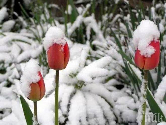 Синоптиците от БАН с много лоша прогноза: Студът се връща изведнъж! Температурите падат рязко с повече от 10 градуса!