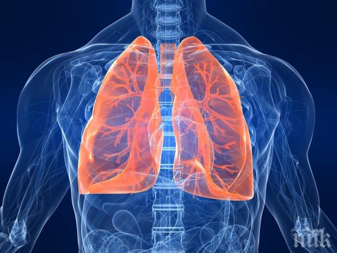 Статистика: Един от осем души в Европа умира от белодробно заболяване