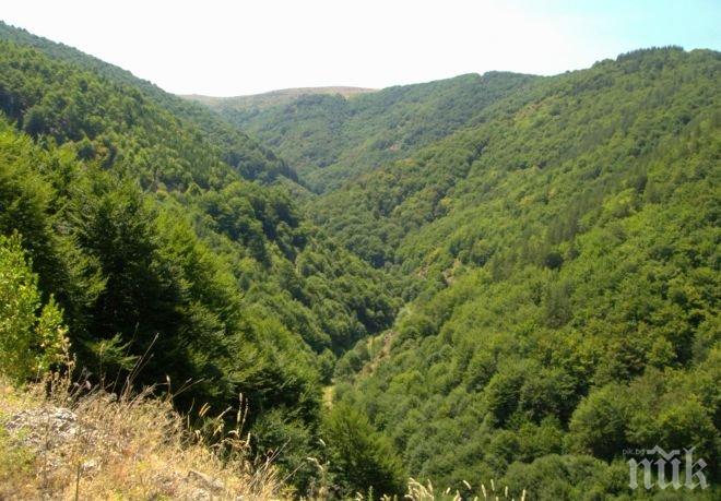 Хайде на разходка! Добри са условията за туризъм в планините