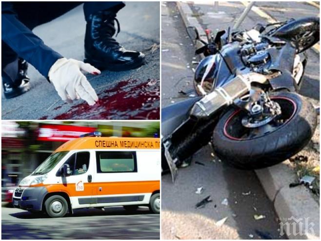 ИЗВЪНРЕДНО В ПИК! Моторист се размаза до Дупница! Бездомно куче му изскочило на пътя!
