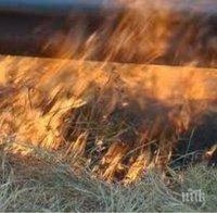 сухи треви храсти горяха русенско