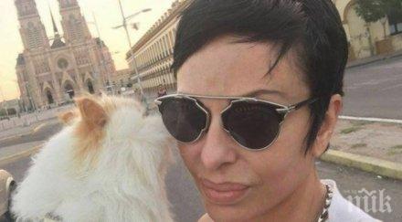 манекенка препарира котката води навсякъде снимки