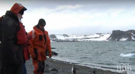 руският патриарх разходка сред пингвини видео