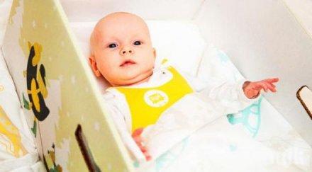 афп бебета продан