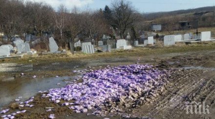 гадост заляха гробища перник дамски превръзки