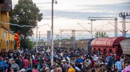 австрия приема молби убежище мигранти дневно