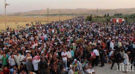 словения пуснем армията мигрантите