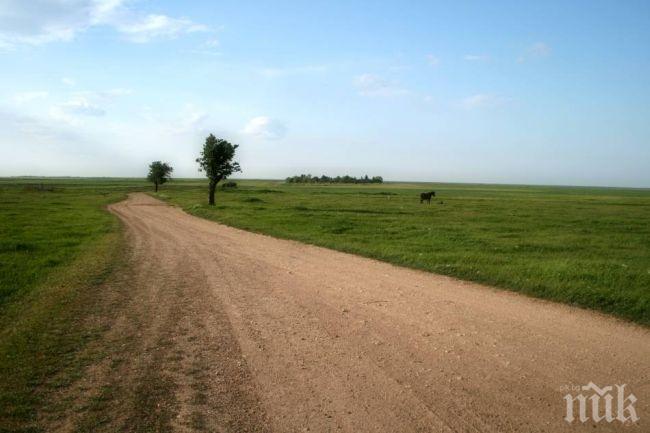 Костов: Има нужда от поддържането на горските пътища