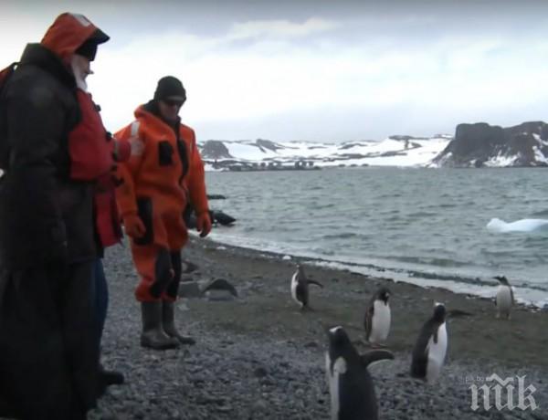 Руският патриарх на разходка сред пингвини (видео)