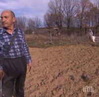 Дядо си продаде магарето, за да плати глоба за отсечен дъб в нивата му