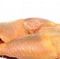 ОДБХ Варна затвори нелегална транжорна за пилешко месо