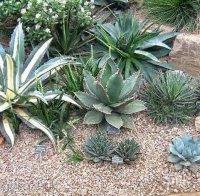 10 неща, които трябва да знаете за текилата 