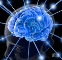 Човешкият мозък предпочита да помни спомени за възнаграждения 