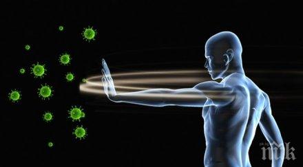 имунните системи живеещи заедно хора започват приличат