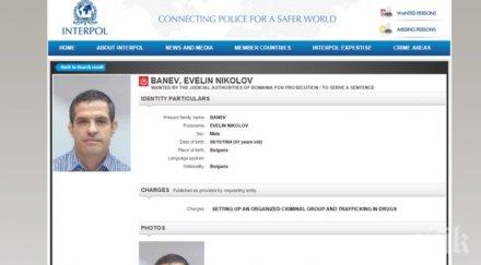 интерпол издирва евелин банев брендо искане румъния