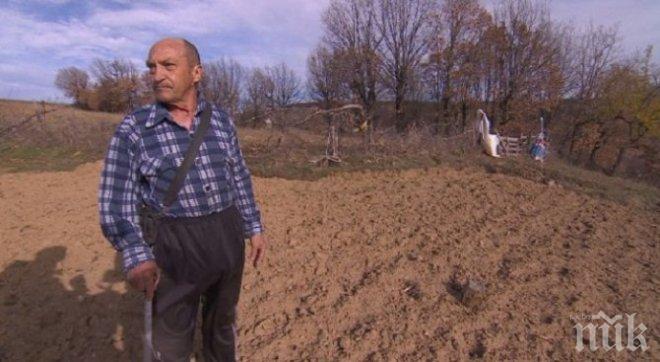 Дядо си продаде магарето, за да плати глоба за отсечен дъб в нивата му