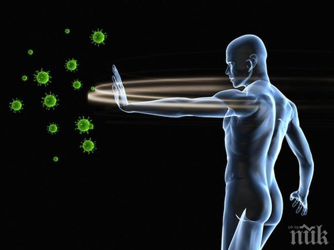 Имунните системи на живеещи заедно хора започват да си приличат