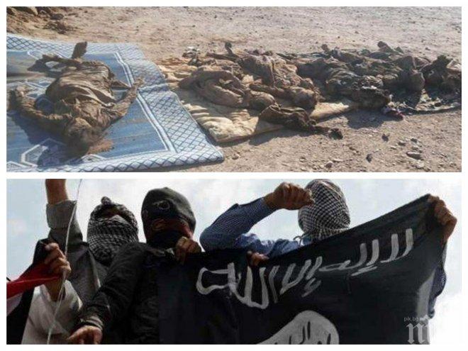 Египетското крило на „Ислямска държава“обяви, че е екзекутирало шпиони на египетската армия