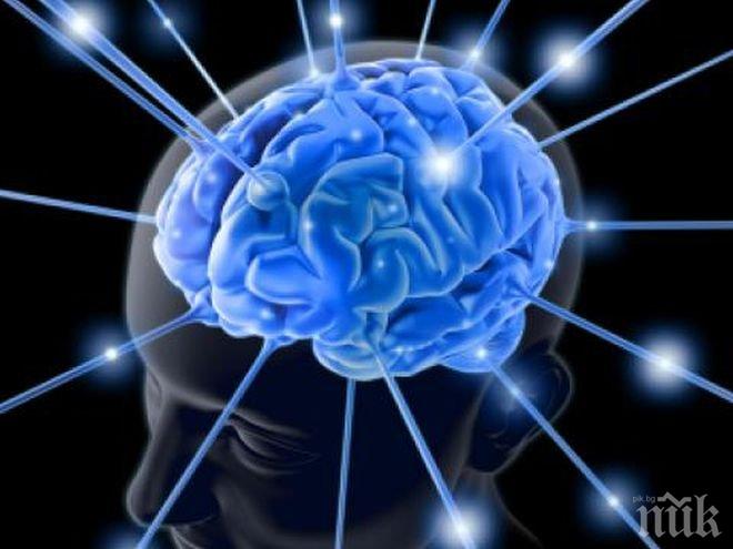 Човешкият мозък предпочита да помни спомени за възнаграждения 