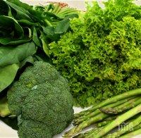 Зелените зеленчуци са полезни за стомаха