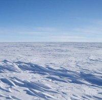 Измериха рекордно висока температура на Антарктида 