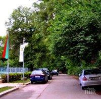 БЕЗОБРАЗИЕ! Съдът пак пусна колите да газят морската градина във Варна!