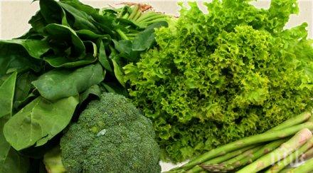 зелените зеленчуци полезни стомаха