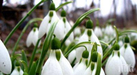 синоптици бан февруарското лято продължава живакът скача 21°