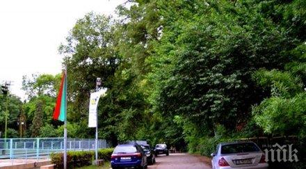 безобразие съдът пак пусна колите газят морската градина варна