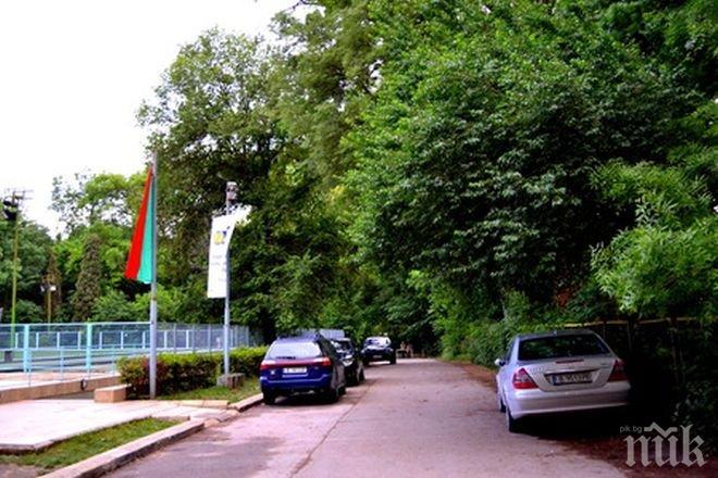 БЕЗОБРАЗИЕ! Съдът пак пусна колите да газят морската градина във Варна!