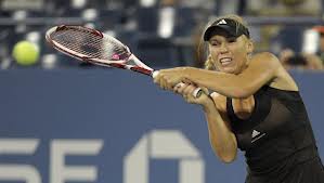 возняцки макилрой купиха къща флорида $109 млн