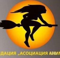 Национална гореща телефонна линия за хора, пострадали от насилие, вече с нов безплатен номер