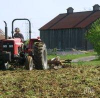 Сметната палата извърши одит за подкрепата на младите фермери