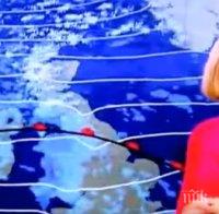 Водеща на Би Би Си припадна в ефир (видео)