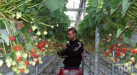 високи надници студентите сащ