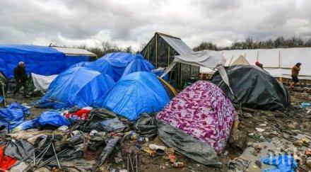 отложиха разрушаването джунглата кале