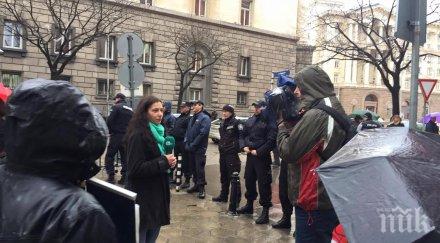 десетина зелени протестираха министерски съвет втората кабина банско