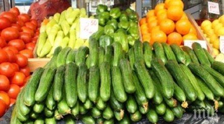 неприятно заради гръцката блокада краставиците подгониха цената луканката