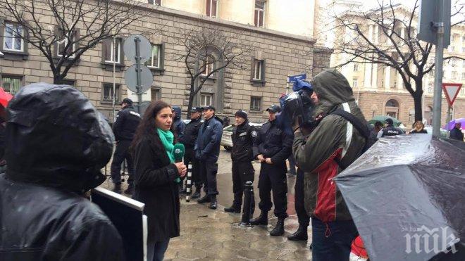 Десетина зелени протестираха пред  министерски съвет срещу втората кабина в Банско