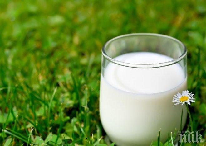 Пийте по-малко мляко, спасете света