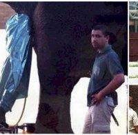 20 работни места, които ще направят твоята работа да изглежда като работа – мечта! 