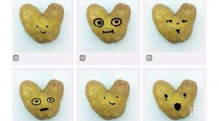 избери картофено сърце разбери перфектните картофки теб