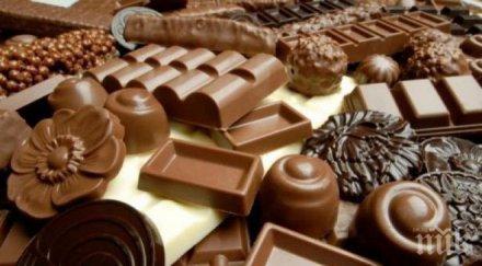 шоколадът подобрява мозъчната функция изследване