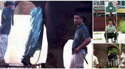 работни места направят твоята работа изглежда работа мечта