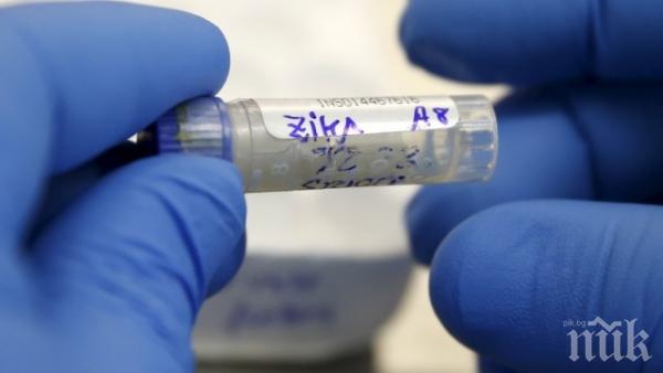 Вирусът зика е вече в Чехия! Властите признаха, но крият подробности