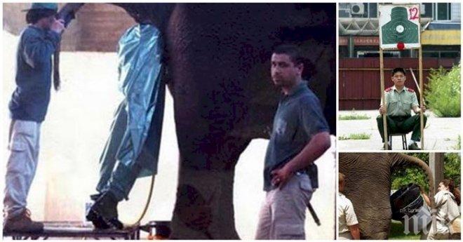 20 работни места, които ще направят твоята работа да изглежда като работа – мечта! 