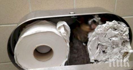 Тя посегна към тоалетната хартия, но от това, което намери там.. нейното сърце почти спря!